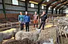 åshild øritsland våge linn therese ervefrode handelandjon bergmålbondeopprør smale sau sauehus bonde