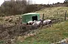 Utegåande griser treng også hus.