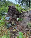 Septiktanken gjer klar rotvelten med berre 10 cm. Foto: Heidi Magnesdatter Åsbø