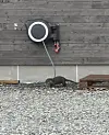 Oteren rusla nysgjerrig rundt på hyttefeltet på Kvitaneset.