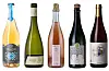 Epli Vindpust, Åkre Gård Edel Klassisk Sider, Adle Sider Rosé, Skarbø Arvegull, Barholm Sprudlende Margaret. Foto: Vinmonopolet / NPK