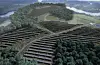 EndraNesseSolcelleSolcelleparkSolpark
