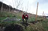 I 2018 planta Stein Johannes Sjurseth over 1000 epletre på familliegarden han overtok året før. Avlinga i år har ikkje blitt som forventa, frost under vårblomstringa er årsaka.