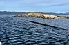 Røyret, då det framleis låg ved ein holme vest av Flatøy. No er det teke hand om.FOTO: PRIVAT