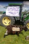 Frå aksjonen nord i Sveio.
