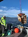 Her heiser mannskap frå Bremnes Seashore opp eit kjøleskap.