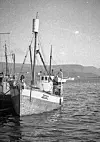 «Nyfalken» på Shetland på 50-talet. Her kan ein sjå tønna montert i masta og kanona i baugen.