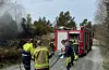 Det var full fyr i Paddevegen onsdag føremiddag. FOTO: HAUGALAND BRANN OG REDNING