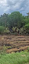 Brannen speidde seg eit lite stykke inn i skogen før den blei sløkt. FOTO: OLAV HOVLAND, UTRYKKINGSLEIAR HBRE