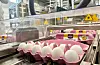 Auka etterspurnad etter egg rundt høgtider utfordrar produksjonen. Illustrasjonsfoto: Heidi Molstad Andresen / NPK