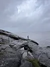 Glimt frå Fiskesommar 2025 i Holsvika. Foto: Privat