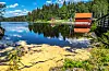 Pollen i vatnet ved Skjærsjødammen i Nordmarka i Oslo. FOTO: HALVARD ALVIK / NTB/ NPK