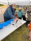 Glimt frå Fiskesommar 2025 i Holsvika. Foto: Privat