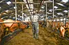 Gjertrud Osmundsen gler seg til å ta fatt på politisk arbeid som nytt styremedlem i Vestland Bondelag.FOTO: TORSTEIN TYSVÆR NYMOEN