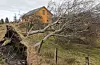 Stormen tok desse trea på Tjernagel. Foto: @britodrun