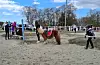 I gymkhana skal ein gjennom ei løype med og utan hest, her er balansering oppgåva.