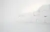 Slik såg det ut på Midtlæger på Haukeli ved 14-tida onsdag.SKJERMDUMP: STATENS VEGVESEN/WEBCAM