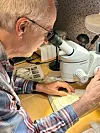 Tilsynelatande prikklike viklarar kan tilhøyre vidt ulike slekter. Men om mønsteret og forma på vengjene kan variere i same art og slekt, er forma på kjønnsorgana konstant. Det er dei Leif Aarvik studerer i mikroskopet.