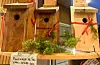 Fuglehus som er laga i arbeidsstova på SOS. Foto: Privat