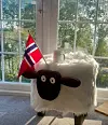 Gratulerer med dagen Norge! #vestavindsveio