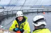 Harald Sveier på eit tareproduksjonsanlegg på Flatøyflu utanfor Bergen.