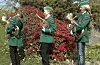 Tre musikantar, alle med etternamnet Haugsgjerd. 17. mai 2005
