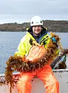 Harald Sveier viser fram nyhausta tare på anlegget Flatøyflu i Hordaland.