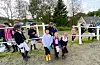 Gøystemne på Tjernagel