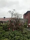 Påskeegg ved Sveio omsorgssenter.