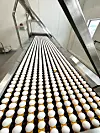 Rundt rekna veg dei tilsette på pakkeriet i Rakkestad inn ein million egg kvar einaste dag. I fjor vart det svimlande 17.700 tonn til saman.