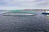 Lakseskatt-bonus: Kommunane med lakseoppdrett kan forvente seg ekstra pengar på toppen av det som blir gitt gjennom den såkalla kommuneproposisjonen. FOTO: GORM KALLESTAD / NTB