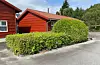 På oppsida av sjukeheimen kan ein sjå planter trimma i to fasongar, firkant og boble.
