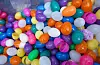 300 egg vart funne rundt om i Rex Garden. Foto: Gunnhild Lønning