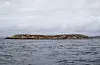 Hjartholmen er ein liten, flat holme i Bømlafjorden utanfor Nedre Økland i Auklandshamn. Foto: Einar Vestvik