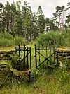 Det veks over på kolerakyrkjegarden i Leirvåg, nord i Sveio.