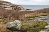 Utsikt frå Hjartholmen mot Stord, der ein så vidt skimtar verftet på Kjøtteinen gjennom skoddedisen. Foto: Einar Vestvik