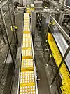 Både fabrikklokalet og pakkeprosessen blir årleg revidert etter ein såkalla BSE-standard, som er kvalitetsstandarden for daglegvarehandelen. Alle Nortura sine eggprodusentar er i tillegg godkjente etter KSL-standarden, eit kvalitetssystem i landbruket som gir rett til å bruke «Nyt Norge»-merket på eggpakkane.