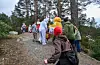 Her drar påskeharane sin veg. Foto: Gunnhild Lønning