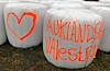 Siloballar langs hovudvegen mellom Haugesund og Sveio, i Sveio kommune. Illustrasjonsfoto.
