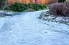 Slik såg vegen på Sveio gravplass ut laurdag 30. desember då Grete Hatvik var der for å tenna lys på faren si grav.
