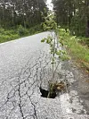 øklandsvegen