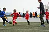 Gutar 7 år, Sveio IL. FOTO: BENTE A. og MIKKEL THORKILDSEN