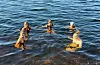 Nesten sommarleg på land, men under 10 grader i sjøen. Likevel kosar (f.v.) Guro Røher, Edel Skjoldevik, Gry-Jeanette Stokka, Oddbjørg Margaret Hovland og Emilie Persen Herland seg. Praten går lett og latteren sit laust. Foto: Ellen Marie Hagevik
