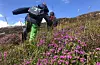 Vestland skal vera ein pådrivar for klimaomstilling, og då trengst ein god klimaplan. No kan du vera med og påverka ved å kome med innspel til kva tema som bør med i planen.
