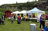 Biletet er frå fjorårets FiskeSommer.