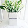 @o.irene.h En vakker giftig blomst , denne Liljekonvallen #liljekonvaller #gammelkrukke #arvegods