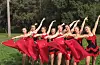 Desse åtte utøverane frå Sveio drill er kåra til Europameistrar: Ida Sofie Bauge, Rebekka Jacobsen, Katrin Eldholm, Ranveig Eide, Malin Nornes, Kristina Apeland, Hedda Gravelsæter og Christiana Panayiotou.