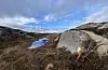 I open kystlynghei nær Ryvarden og havet ligg tur-o-postar idyllisk til.