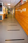 Gangane er merka med tape med ein meter mellom kvar merking.
