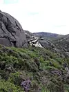 På Vestlandet kan hundane bli sendt opp bratte fjellsider på 200 høgdemeter, med ur, stup og bratte fjellhyller. Då er det små marginar, og viktig at ein har ein hund som meistrar oppgåva og er hundre prosent lydig. FOTO: PRIVAT